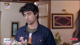 Sukoon - Episode 32 - 1st February 2024